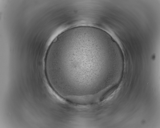 X0000092041341200709191052