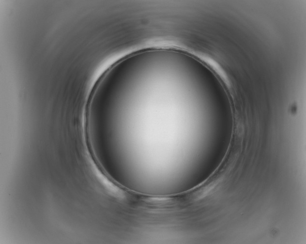 X0000092041343200709191052