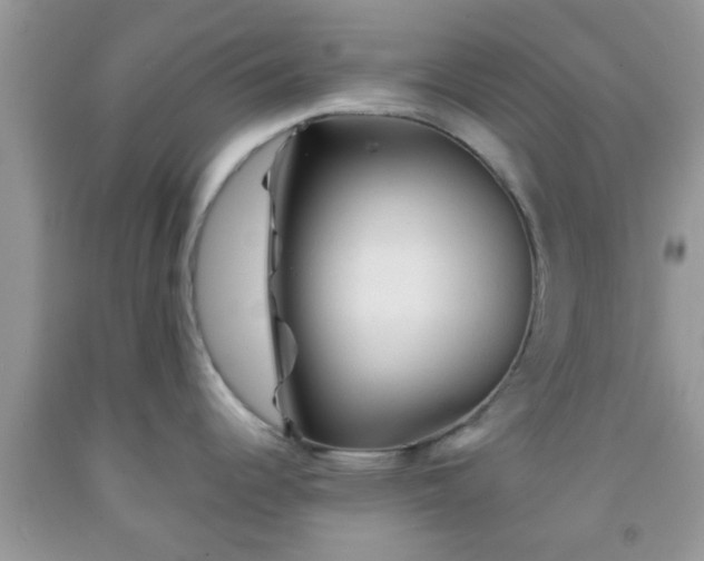 X0000092041344200709191052