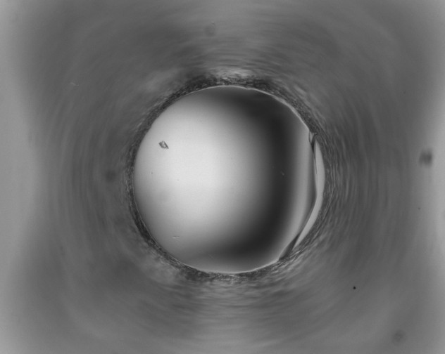 X0000092041345200709191052