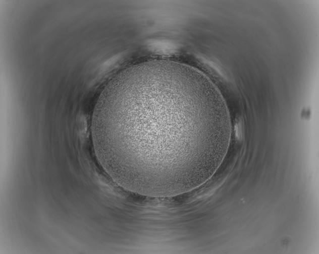 X0000092041347200709191052