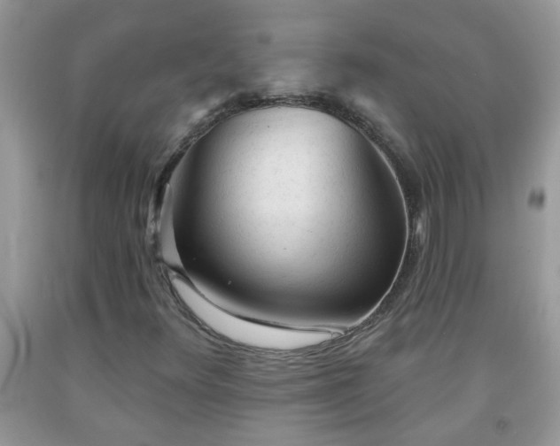 X0000092041348200709191052