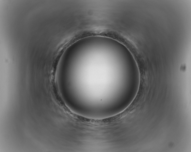 X0000092041349200709191052