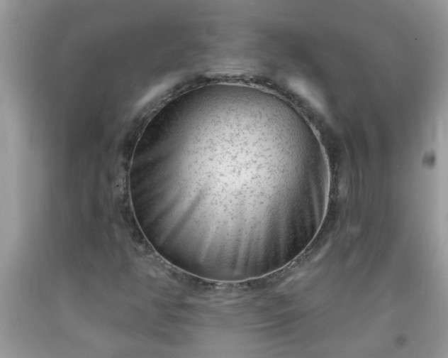 X0000092041350200709191052