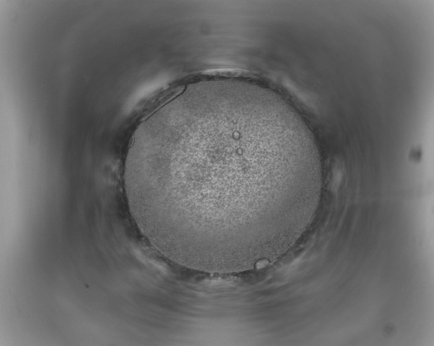 X0000092041351200709191052