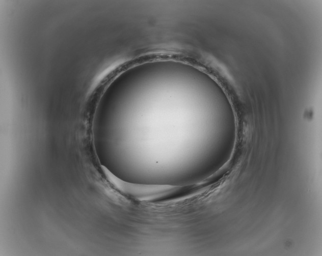 X0000092041352200709191052