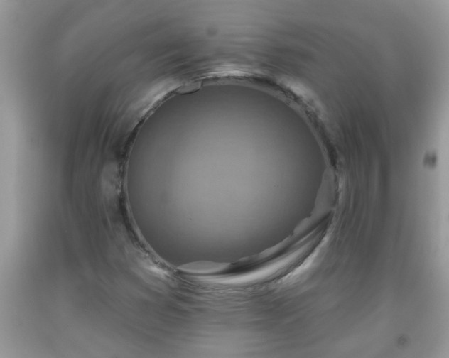 X0000092041353200709191052