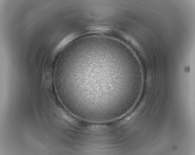 X0000092041354200709191052