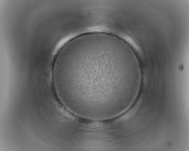 X0000092041358200709191052