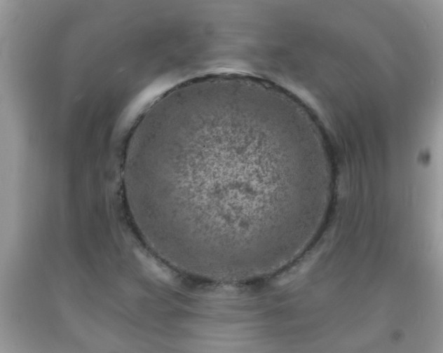 X0000092041359200709191052