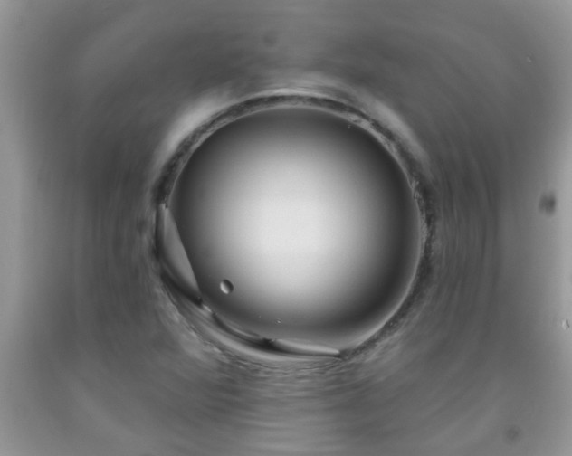 X0000092041360200709191052