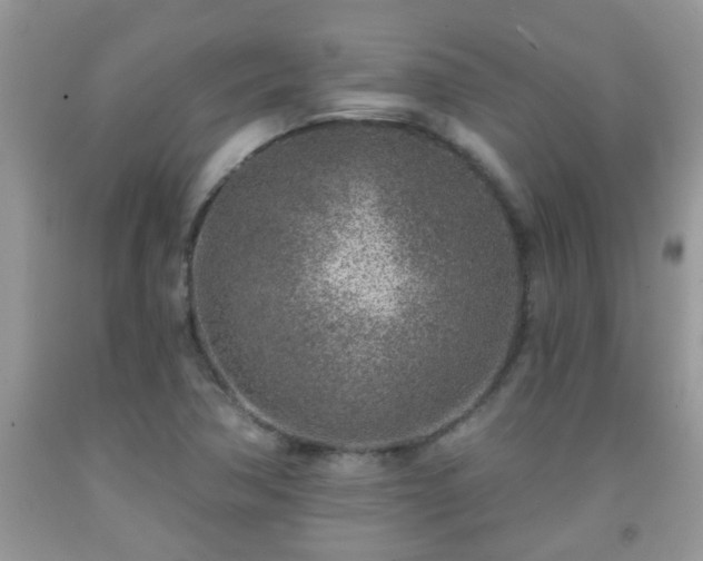 X0000092041362200709191052