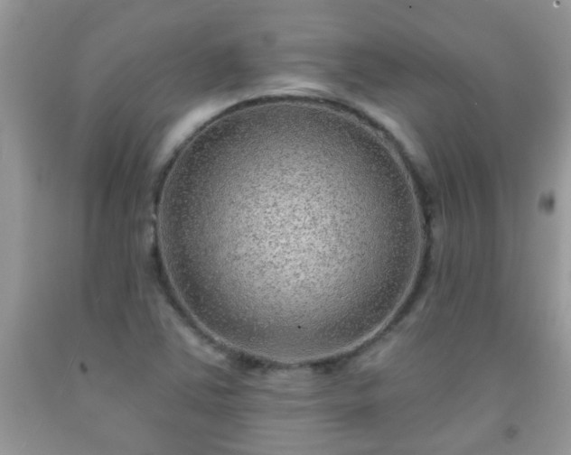 X0000092041363200709191052