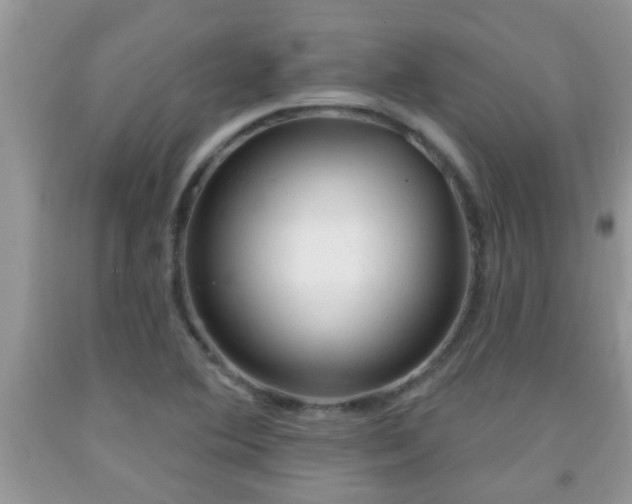 X0000092041364200709191052