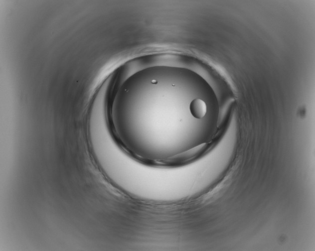 X0000092041365200709191052