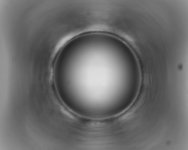 X0000092041366200709191052