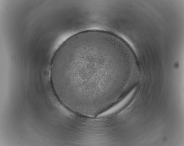 X0000092041367200709191052