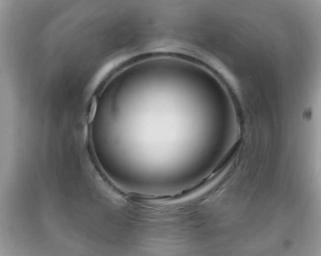 X0000092041368200709191052