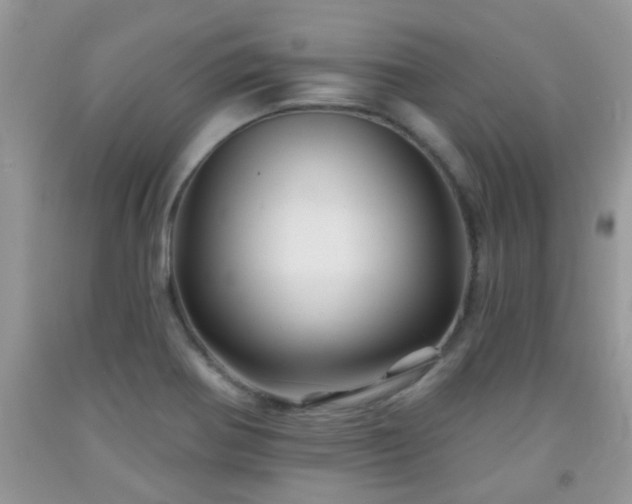 X0000092041370200709191052