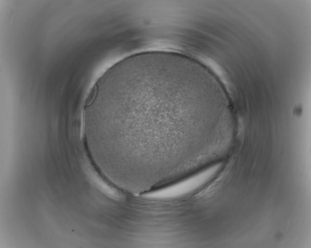 X0000092041371200709191052