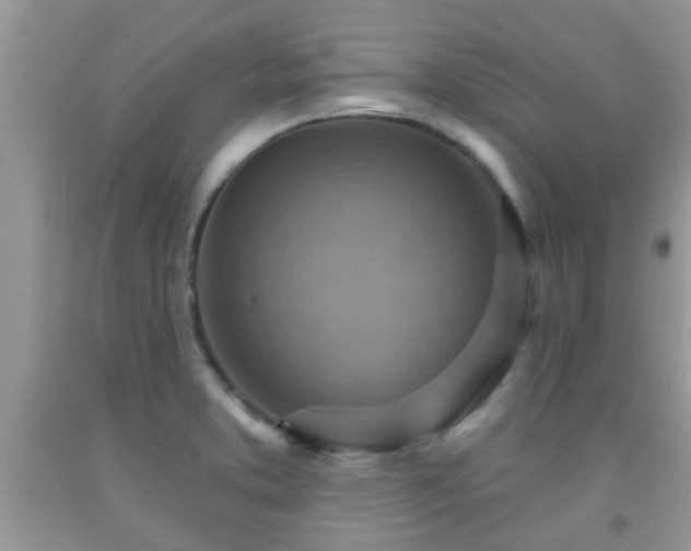 X0000092041373200709191051