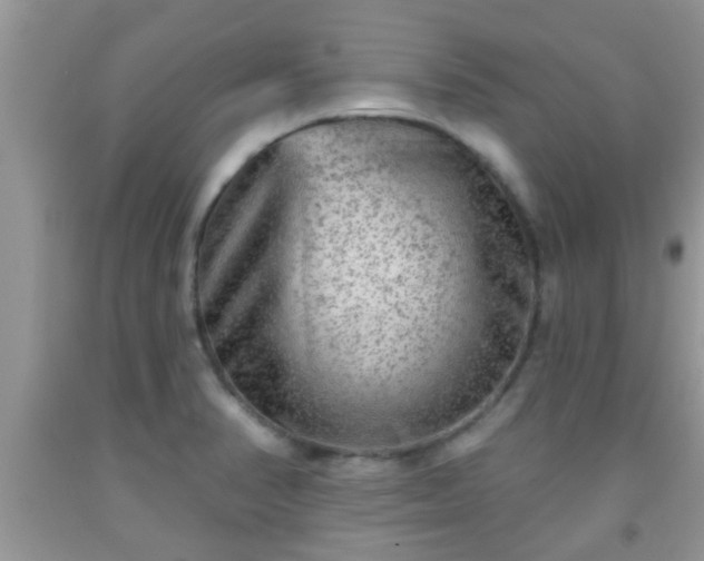 X0000092041374200709191051