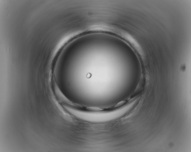 X0000092041376200709191051