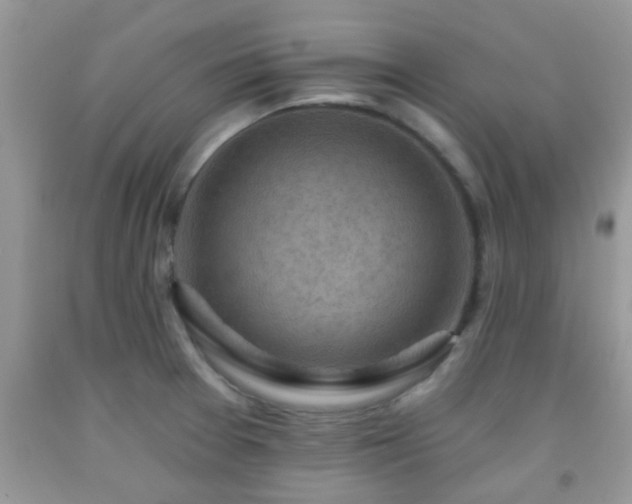 X0000092041377200709191051