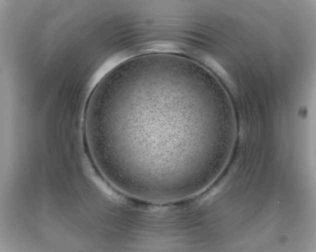 X0000092041378200709191051