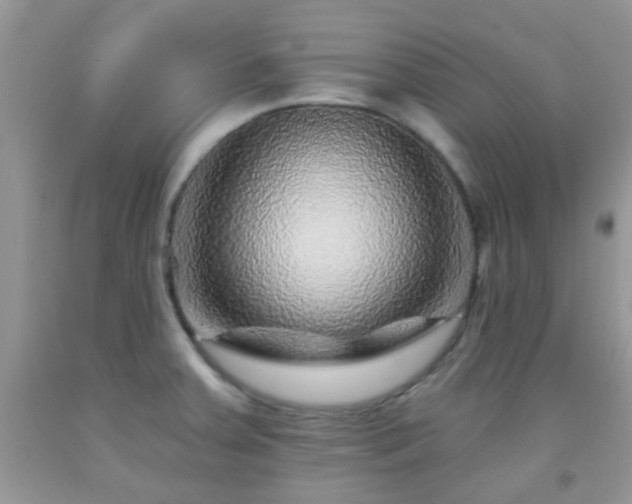 X0000092041379200709191051