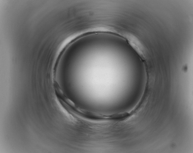 X0000092041380200709191051