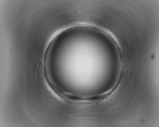 X0000092041381200709191051