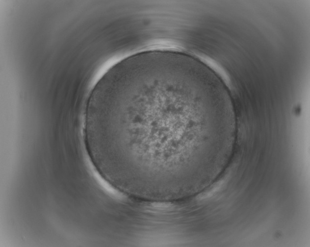 X0000092041383200709191051