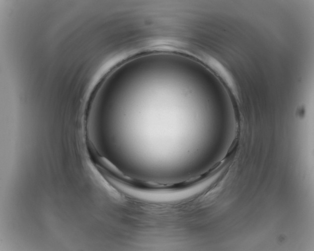 X0000092041384200709191051