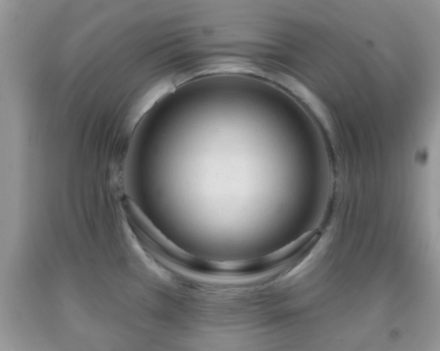 X0000092041385200709191051