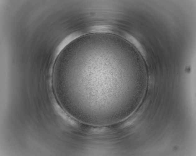 X0000092041386200709191051