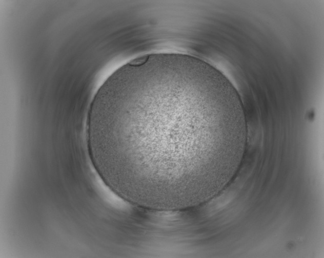 X0000092041387200709191051