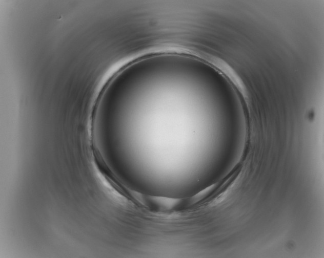 X0000092041388200709191051