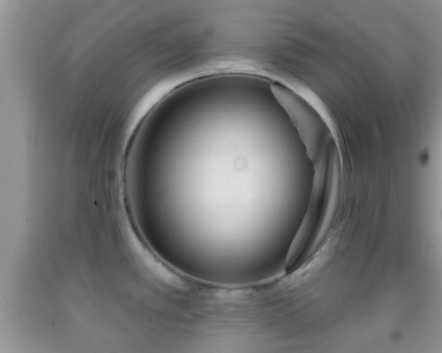 X0000092041389200709191051