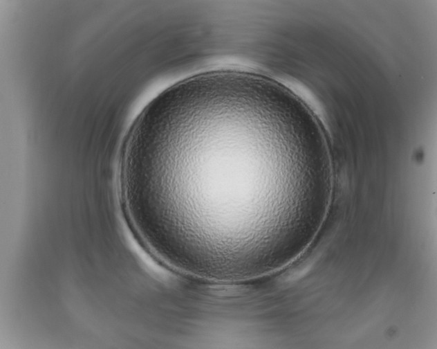 X0000092041391200709191051