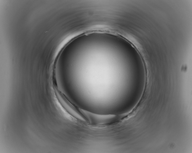 X0000092041392200709191051