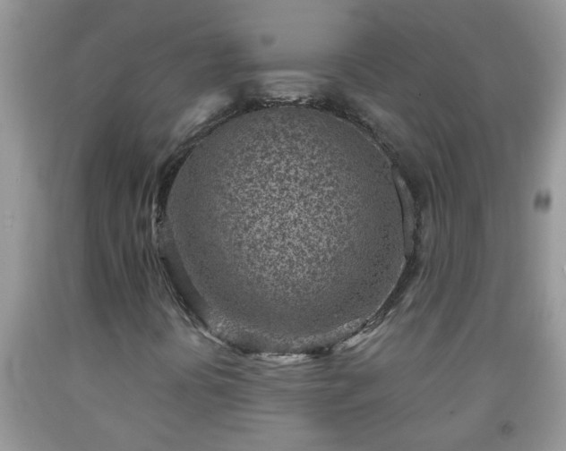 X0000092041394200709191050