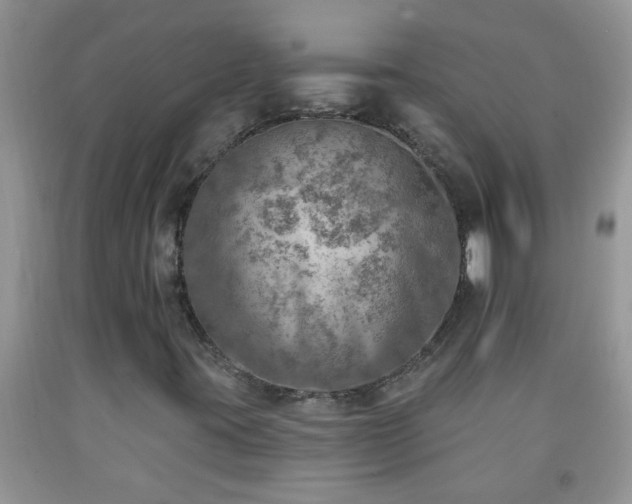 X0000092041395200709191050