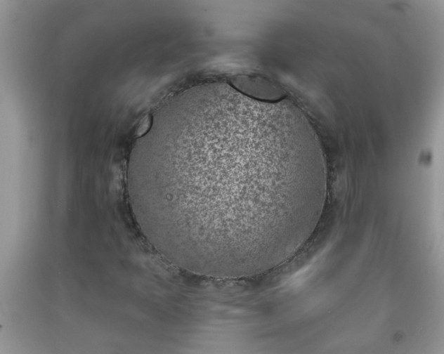 X0000092041397200709191051