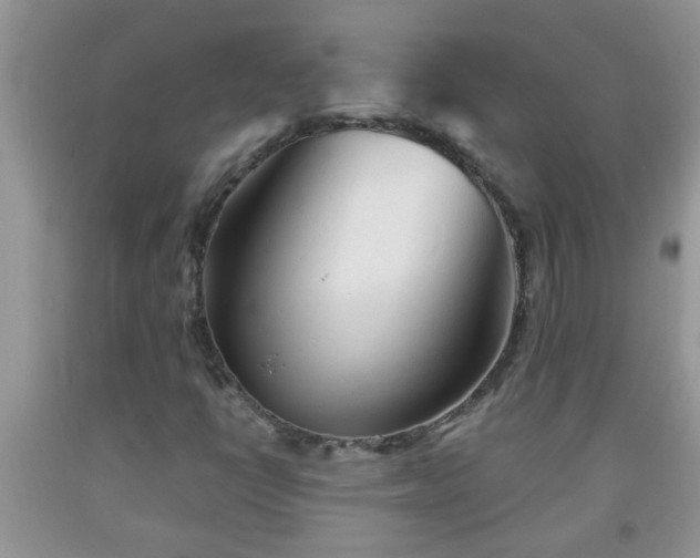 X0000092041398200709191051