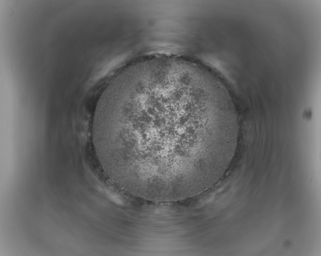 X0000092041399200709191051