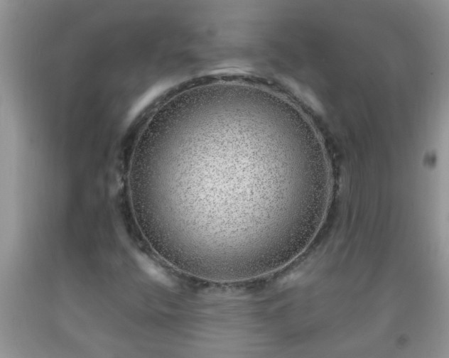 X0000092041400200709191051