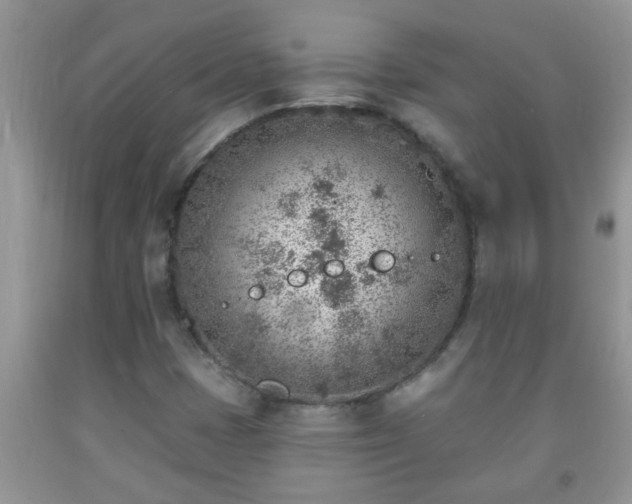 X0000092041401200709191051