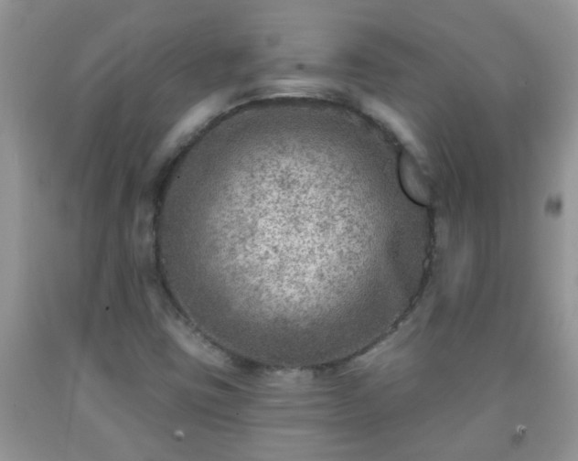 X0000092041403200709191051