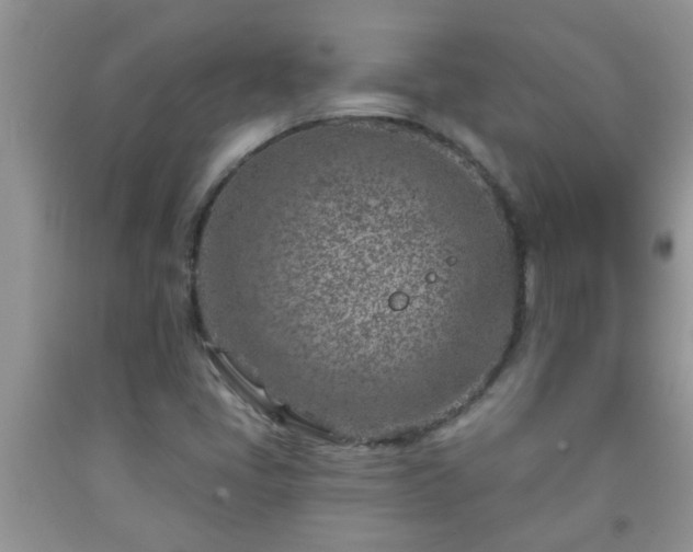 X0000092041405200709191051